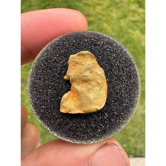 Large Cornflake Gold Nugget - 17mm x 13mm - 1.3 grams Nevada County, California - Picture 4 of 5